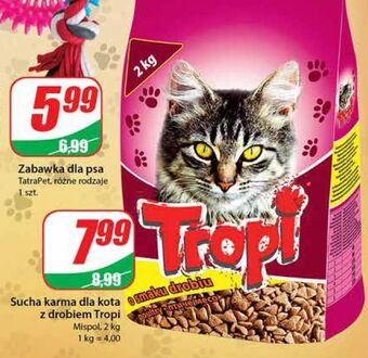 Karma dla kota z drobiem tropi