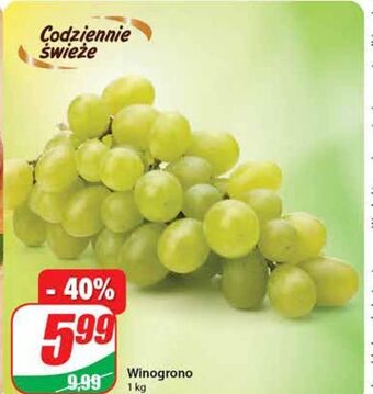 Dino Winogrona oferta