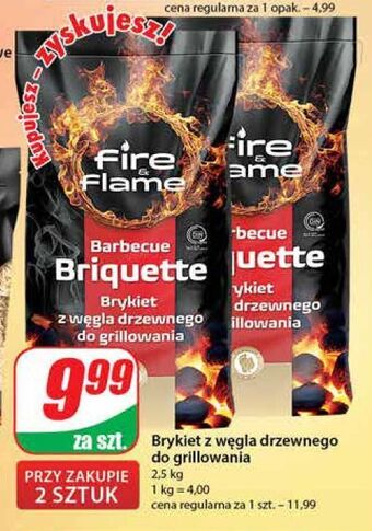 Dino Brykiet z węgla drzewnego fire & flame oferta