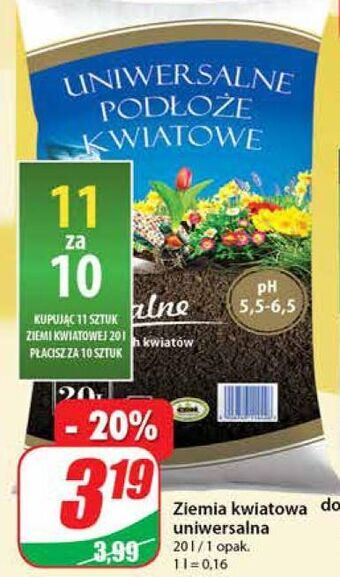 Dino Ziemia kwiatowa uniwersalna oferta