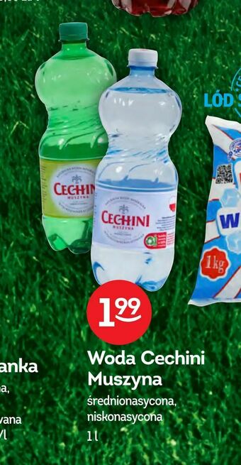 Żabka Woda Cechini Muszyna oferta