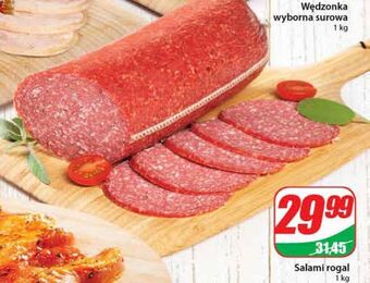 Dino Salami agro rydzyna oferta