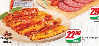 Dino Boczek grill agro rydzyna oferta