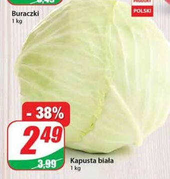Dino Kapusta biała oferta