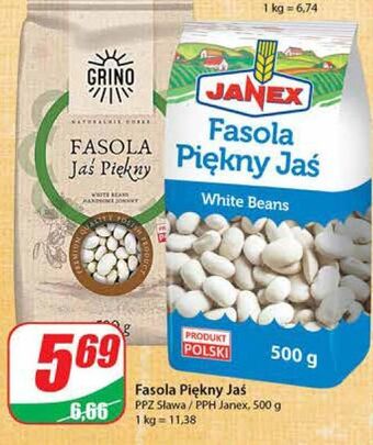 Dino Fasola jaś piękny grino oferta