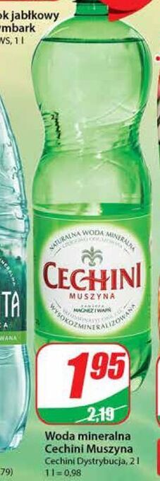 Dino Woda wysokozmineralizowana muszyna cechini oferta