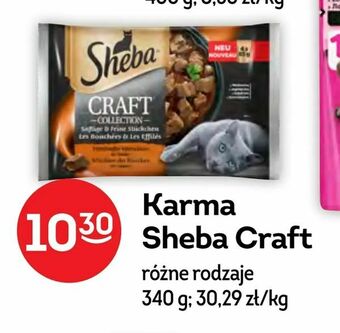 Żabka Karma Sheba Craft oferta