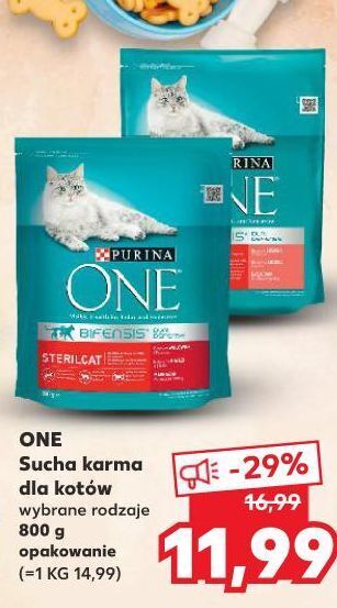 Kaufland Karma dla kota sterilcat wołowina i pszenica purina one oferta