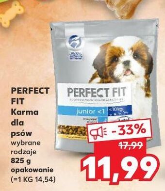 Kaufland Karma dla psa junior oferta