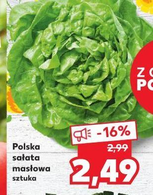Kaufland Sałata masłowa oferta