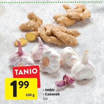 Intermarche Imbir oferta