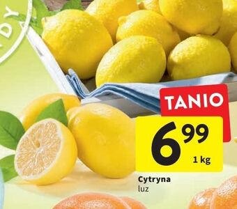 Intermarche Cytryny oferta