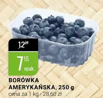 bi1 Borówka amerykańska oferta