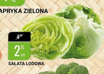 bi1 Sałata lodowa oferta