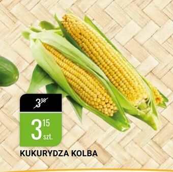 bi1 Kukurydza kolba oferta