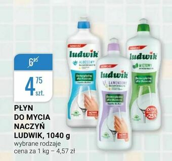 bi1 Płyn do mycia naczyń ludwik, 1040 g oferta
