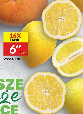 Twój Market Cytryna oferta
