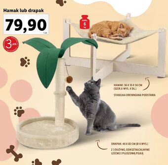 Lidl Drapak dla kota zoofari oferta