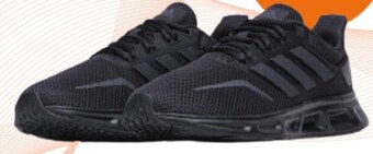 CCC Obuwie sportowe adidas oferta