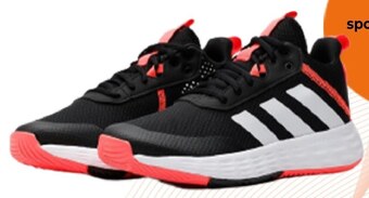 CCC Buty sportowe adidas oferta