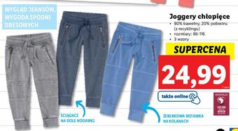 Lidl Joggery chłopięce roz. 86-116 oferta