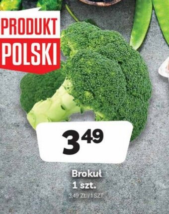 Delfin Brokuł 1szt. oferta