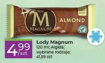 Stokrotka Express Algida Lody Magnum 120 ml oferta