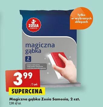 Magiczna gąbka zosia samosia