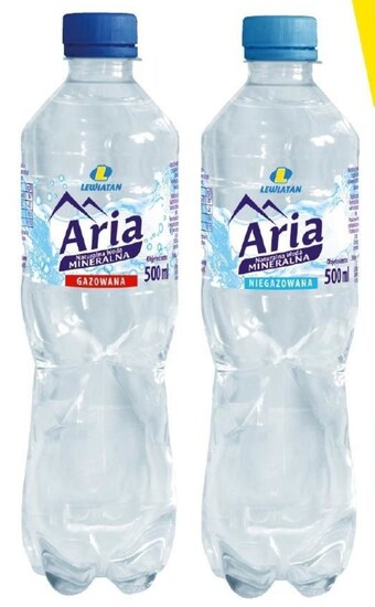 Lewiatan Woda aria oferta