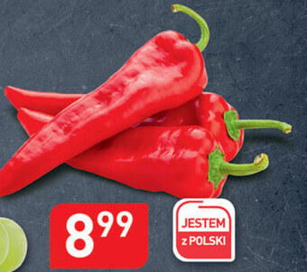 Stokrotka Optima Papryka oferta