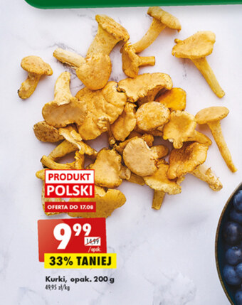 Biedronka Kurki biedronka oferta
