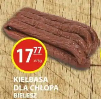 Zielony Koszyk Bielesz Kiełbasa Dla Chłopa oferta