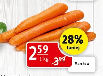 Prim Market Marchew 1 kg oferta