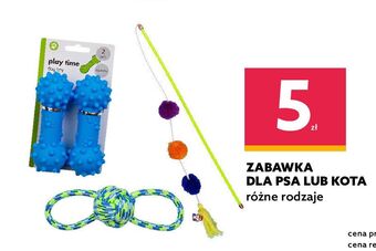 Dealz Zabawka dla psa oferta