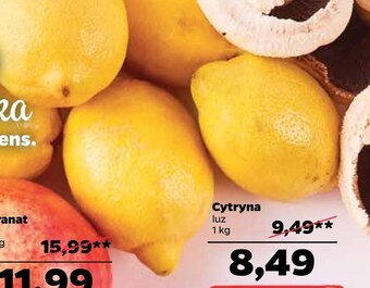 Netto Cytryna oferta