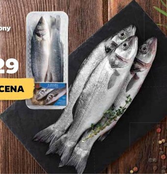 Netto Labraks sona oferta