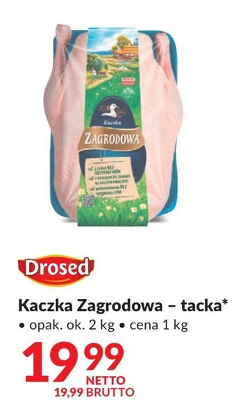 Makro Kaczka drosed oferta