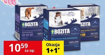 Kakadu Karma dla psa bozita oferta