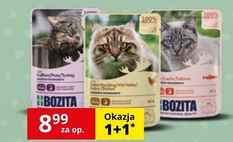 Kakadu Karma dla kota bozita oferta