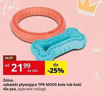 Kakadu Zabawki dla psa zolux oferta