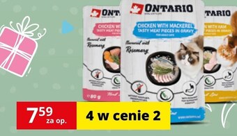Karma dla kota ontario