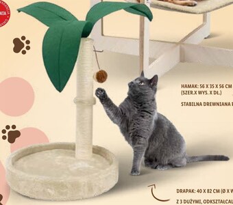 Lidl Drapak dla kota zoofari oferta