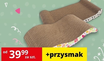 Kakadu Drapak dla kota magic cat oferta
