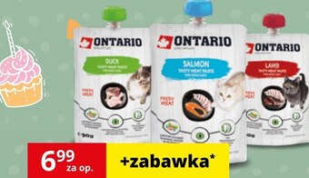 Kakadu Przysmak dla kota ontario oferta