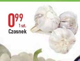 Czosnek