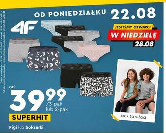 Biedronka Figi damskie 4f oferta