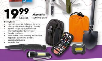 Biedronka Latarka czołowa setty oferta