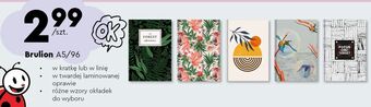 Biedronka Brulion a5 96 k kratka oferta