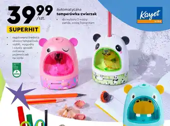 Biedronka Temperówka zwierzak panda kayet oferta