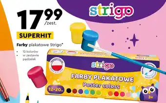 Biedronka Farby plakatowe strigo oferta